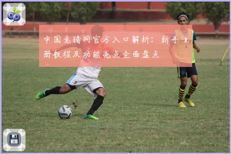 中国竞猜网官方入口解析:新手注册教程及功能亮点全面盘点