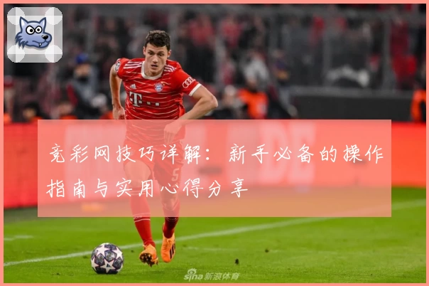 竞彩网技巧详解：新手必备的操作指南与实用心得分享