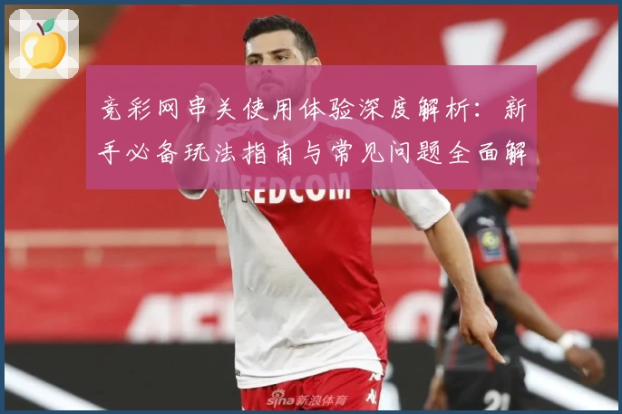 竞彩网串关使用体验深度解析：新手必备玩法指南与常见问题全面解读