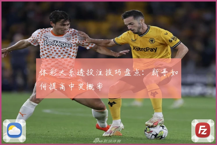 体彩大乐透投注技巧盘点:新手如何提高中奖概率