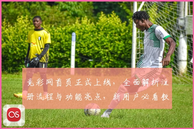 竟彩网首页正式上线，全面解析注册流程与功能亮点，新用户必看教程