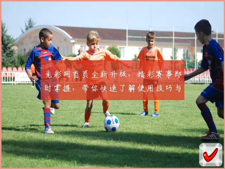 竞彩网首页全新升级,精彩赛事即时掌握,带你快速了解使用技巧与入口教程