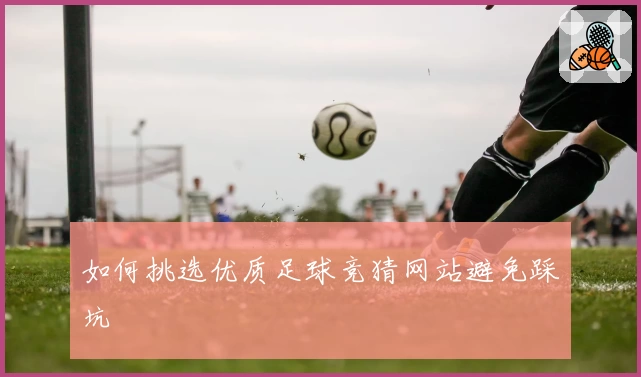 如何挑选优质足球竞猜网站避免踩坑